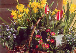 Frühjahr